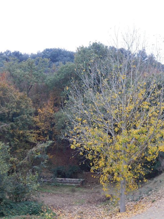 Casa Canut Tartareu Zewnętrze zdjęcie